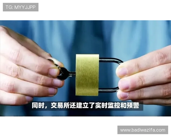 凯时备用平台的技术保障让每一次交易都更加安全可靠