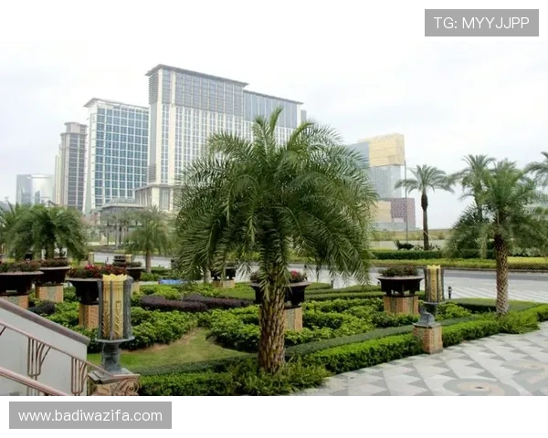 澳门真人娱乐游戏最新玩法介绍,助你轻松掌握高胜率技巧