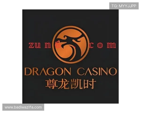 尊龙时凯人生官网电脑版下载安装教程与使用技巧，助力玩家快速进入游戏世界